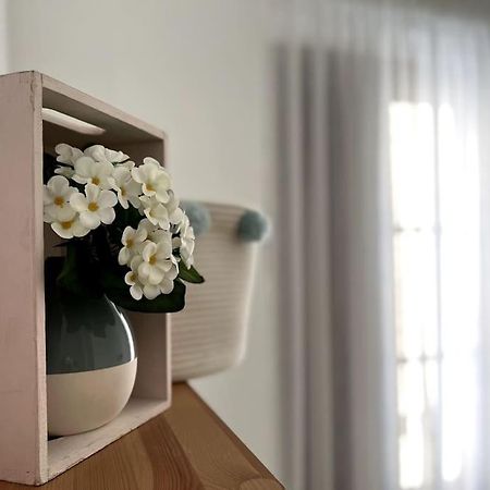 Apartamento Muy Centrico En Granada Dış mekan fotoğraf